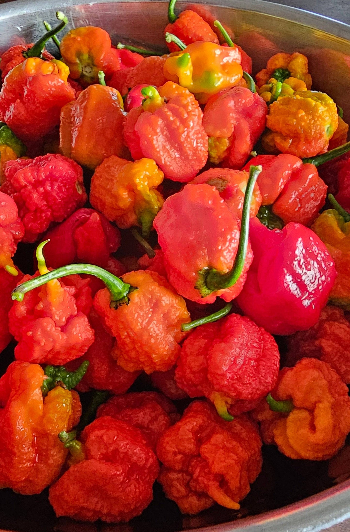 Peppers are grown our own property, NO Spray produce