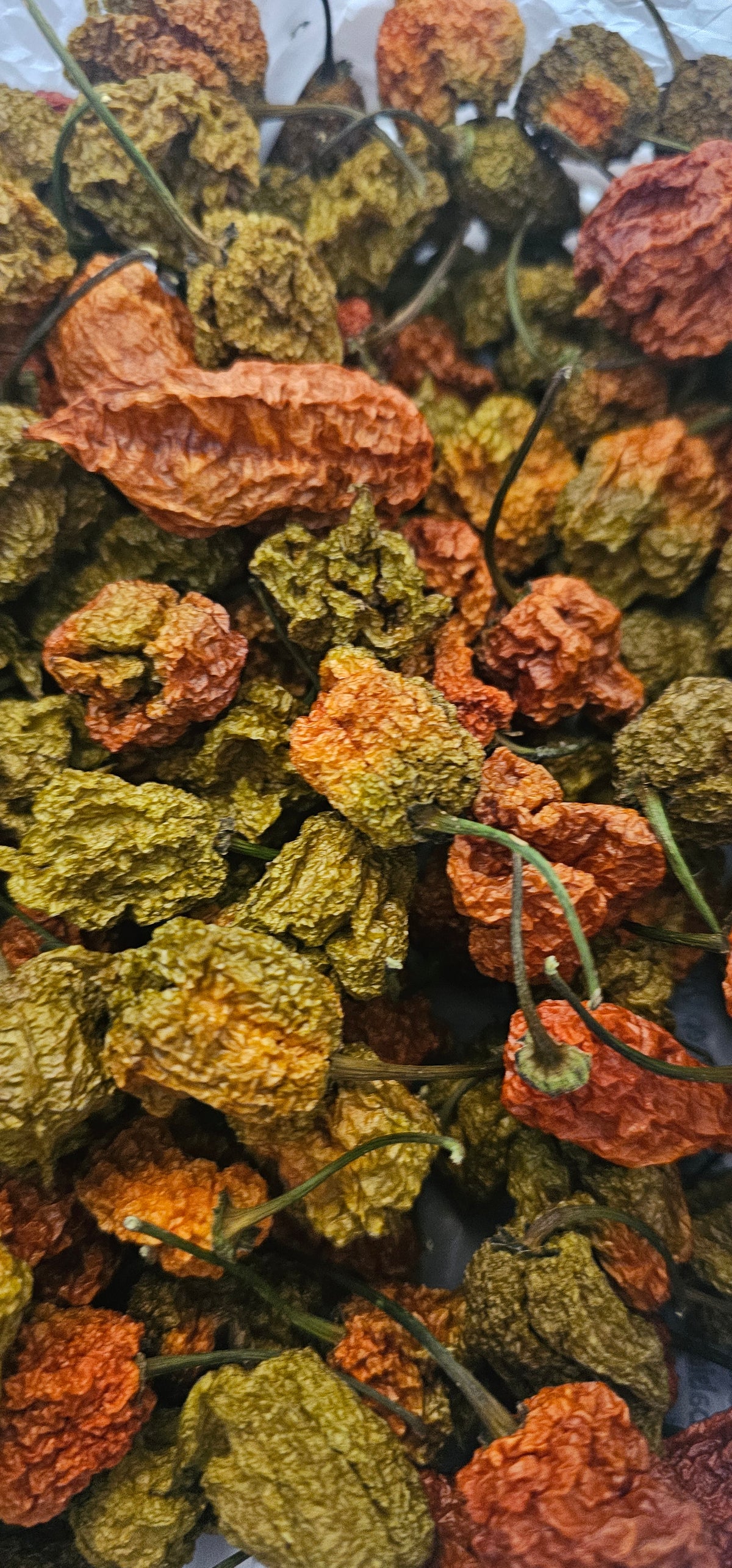 Last Harvest Carolina Reaper & Ghost Peppers – Dehydrated, 4 oz